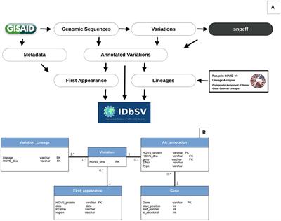 Frontiers IDbSV An Open Access Repository for Monitoring SARS